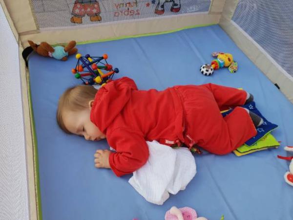 Bild zu