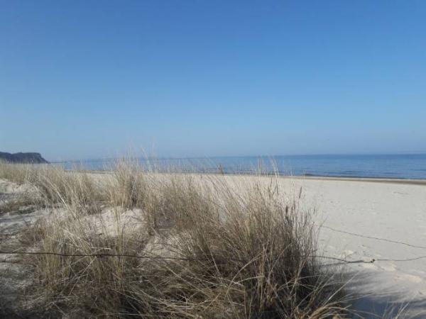 Bild zu Grüße von der Ostsee - Forum für August - Mamis
