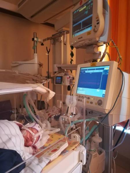 Bild zu Update Julius - Forum für August - Mamis