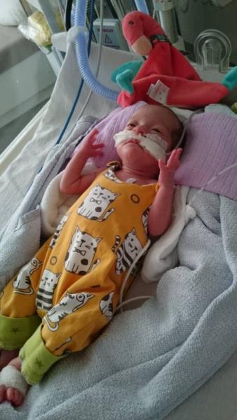Bild zu Mal hallo - Forum für August - Mamis
