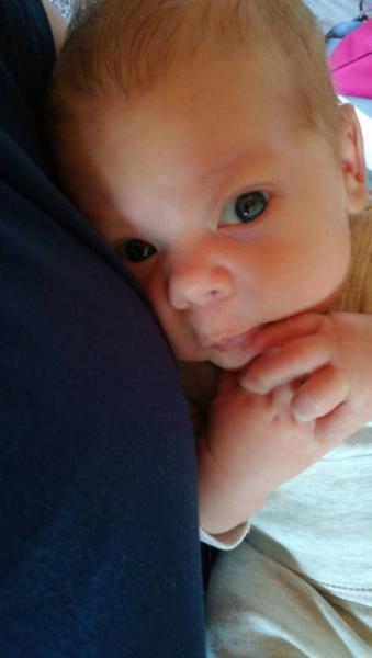 Bild zu 