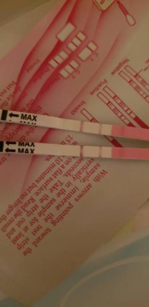 Bild zu Blöde Frage - 2Tage vor ES schwanger werden? - Forum für August - Mamis