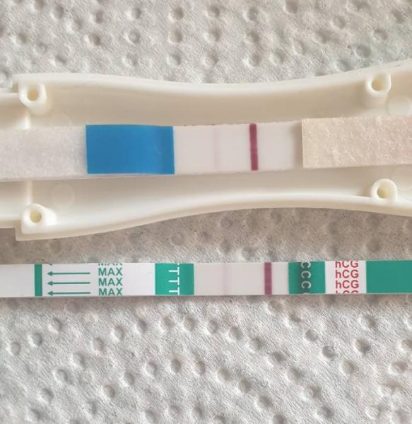 Bild zu Im April wird unser Nesthäkchen auch großer Bruder - Forum für August - Mamis