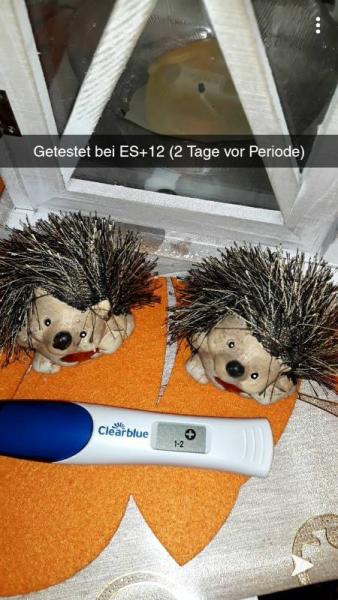 Bild zu Clearblue Test... bin offiziell hier die erste!  - Forum für August - Mamis
