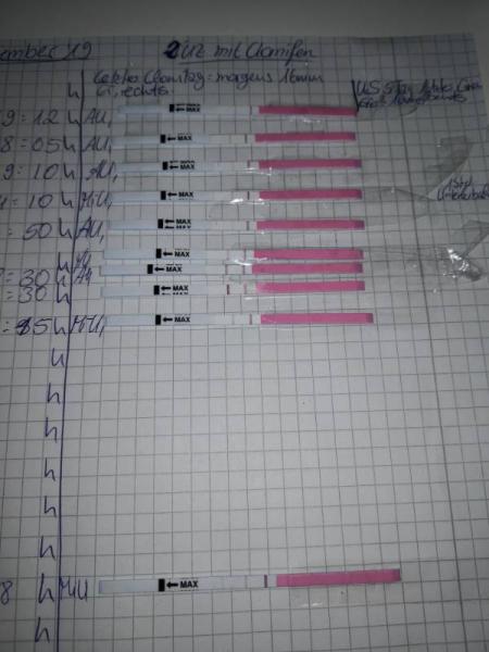 Bild zu 