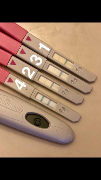 Bild zu CB Ovu Rosa - Forum für August - Mamis