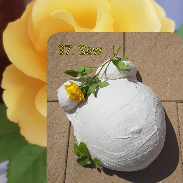 Bild zu 💗 37. Ssw 💗 HaPpY - Forum für August - Mamis