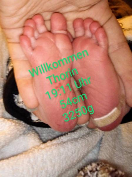 Bild zu Ausgekugelt am 11.08 - Forum für August - Mamis