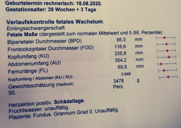 Bild zu KH update - Forum für August - Mamis