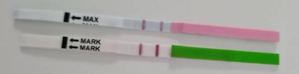 Bild zu Und ich sagte noch,... - Forum für August - Mamis