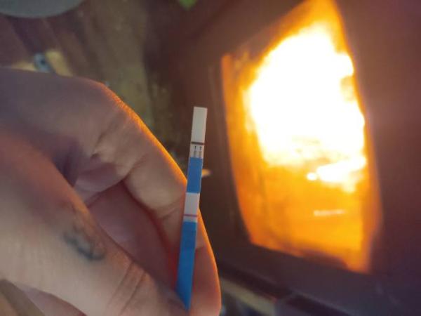 Bild zu Bus Wechsel - Forum für August - Mamis