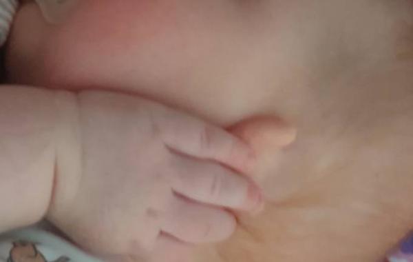 Bild zu "Bitte, hör auf zu singen!" - Forum für August - Mamis
