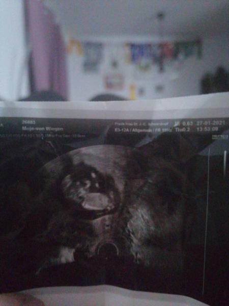 Bild zu Blutung - Forum für August - Mamis