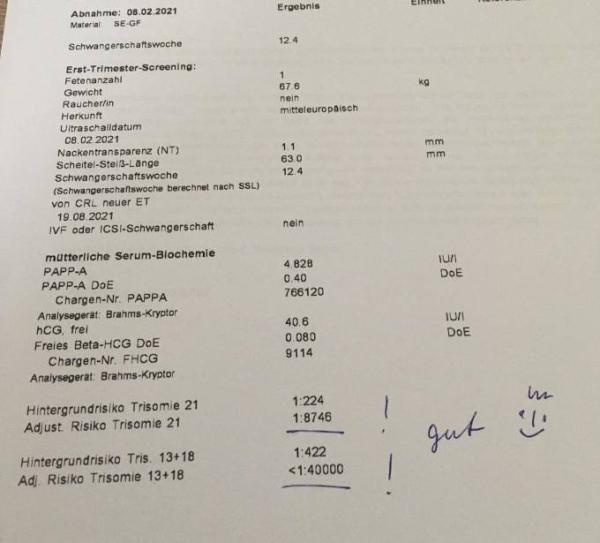 Bild zu Re: Pränataldiagnostik & Bluttest - Forum für August - Mamis