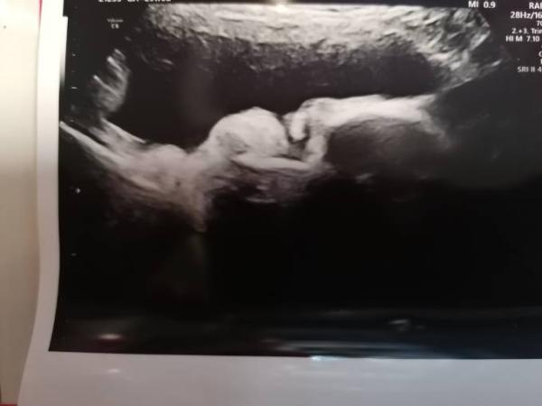 Bild zu Rätselraten - Forum für August - Mamis