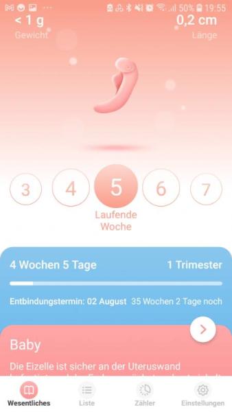 Bild zu 