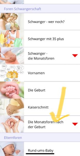 Bild zu 