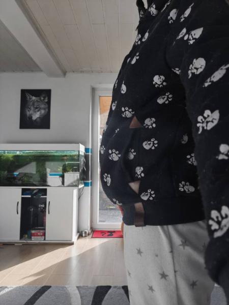 Bild zu 