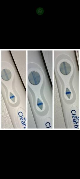Bild zu Fallen diese Tests oft falsch positiv aus? - Forum für August - Mamis