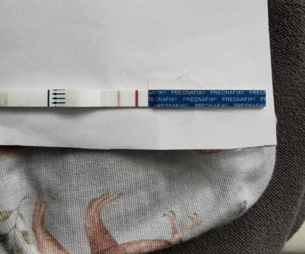 Bild zu Test - Forum für August - Mamis