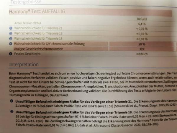 Bild zu 