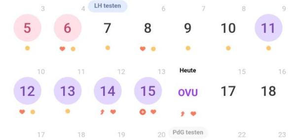 Bild zu Eisprung - Forum für August - Mamis
