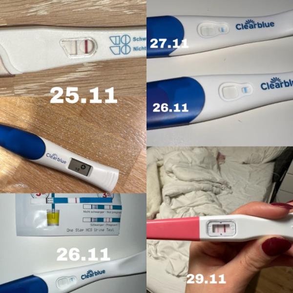 Bild zu Schwanger und so glücklich - Forum für August - Mamis