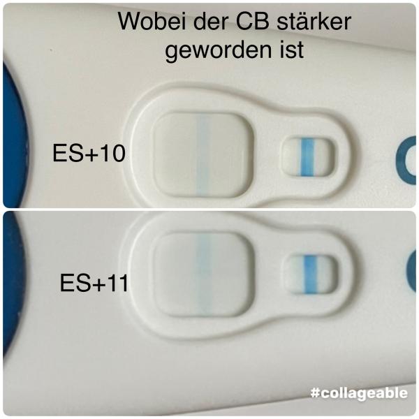 Bild zu Kann ich noch hoffen? - Forum für August - Mamis