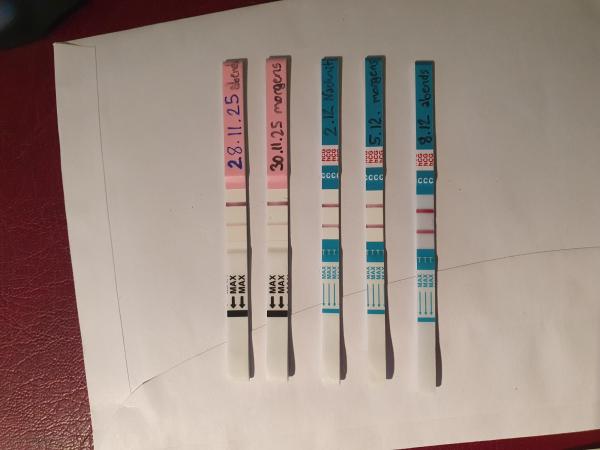 Bild zu Erste Schwangerschaft 6+2 Hashimoto - Forum für August - Mamis