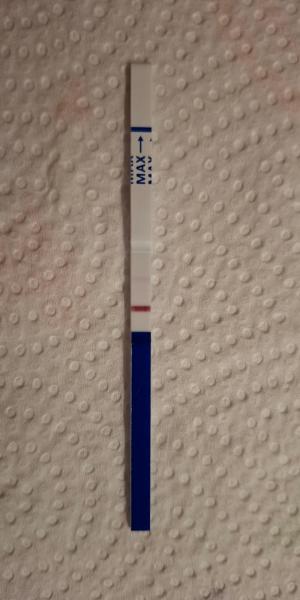 Bild zu Ein zartes Hallo - Forum für August - Mamis