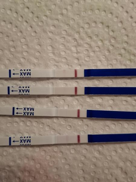 Bild zu Ein zartes Hallo - Forum für August - Mamis