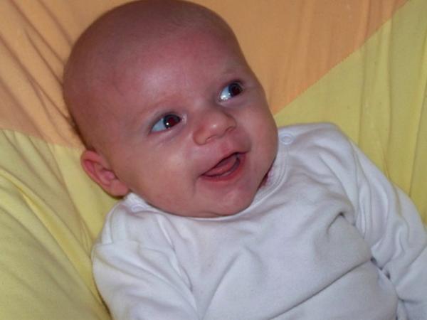 Bild zu