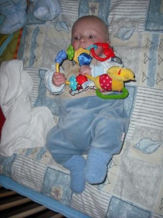 Bild zu