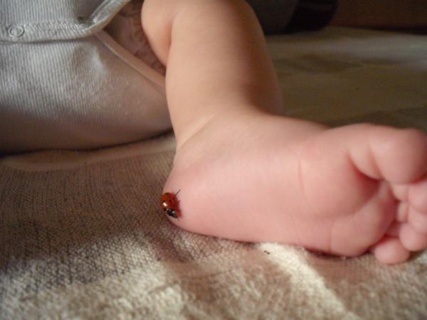 Bild zu Ich wünsche allen - Forum für September - Mamis