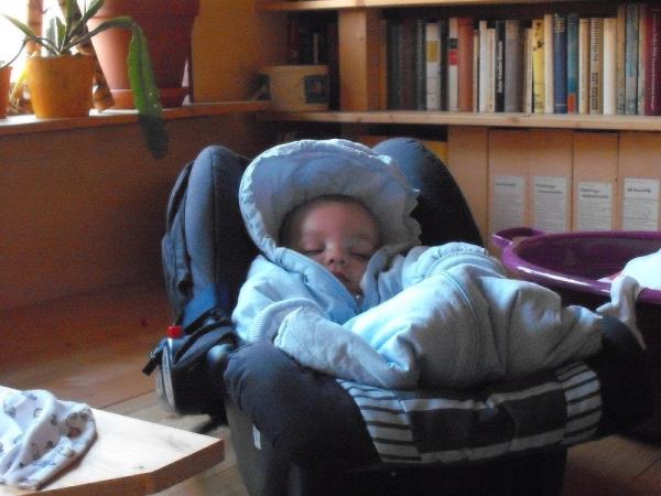 Bild zu