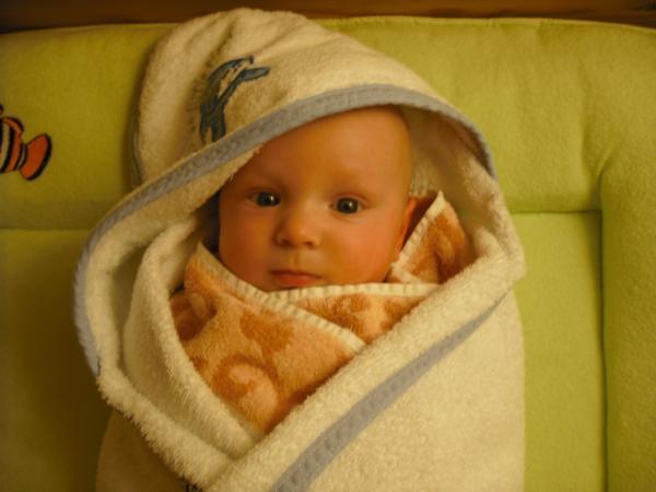 Bild zu