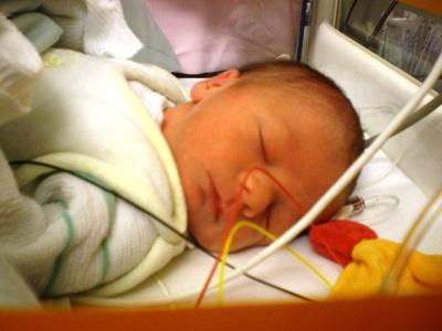 Bild zu guggug - Forum für September - Mamis