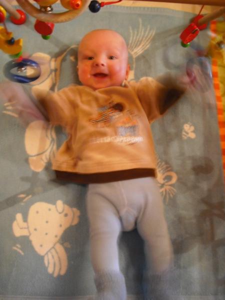 Bild zu