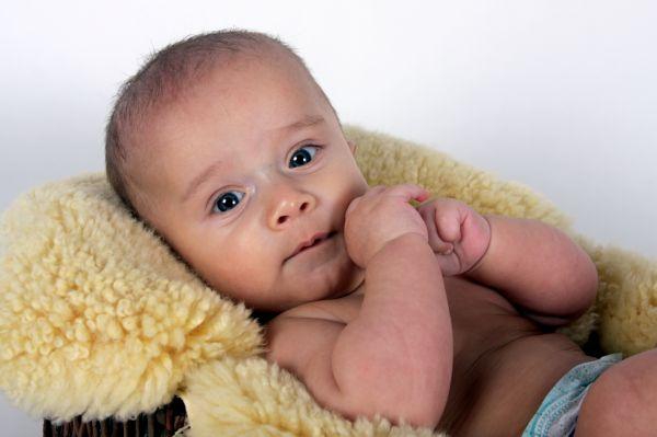 Bild zu Welches Baby hat schon Zähne?? - Forum für September - Mamis