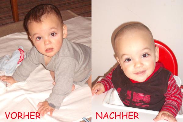 Bild zu