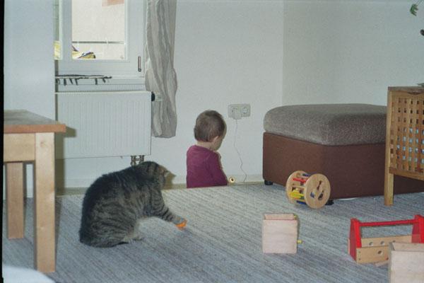 Bild zu
