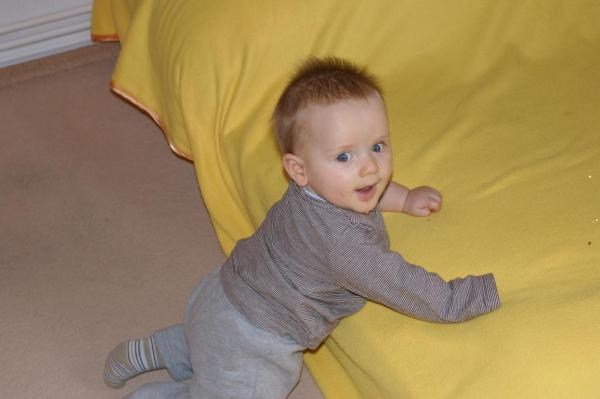 Bild zu