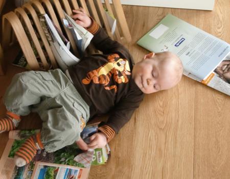 Bild zu