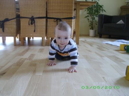 Bild zu