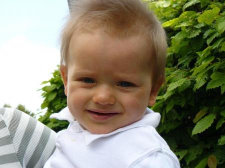 Bild zu 