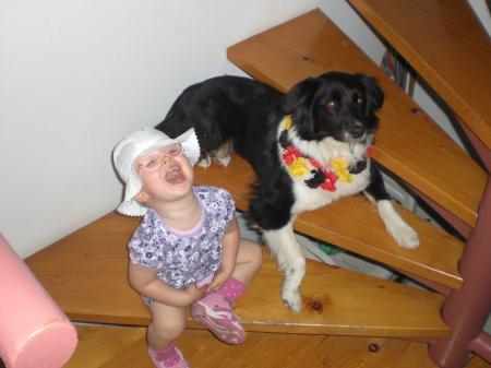 Bild zu 