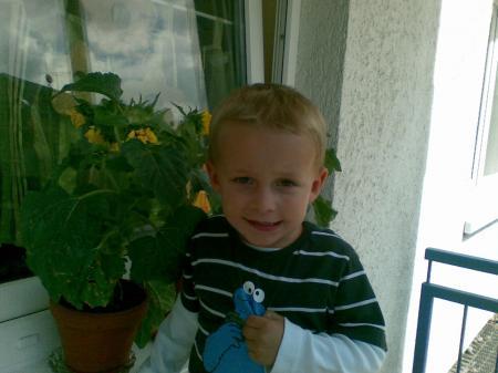 Bild zu 