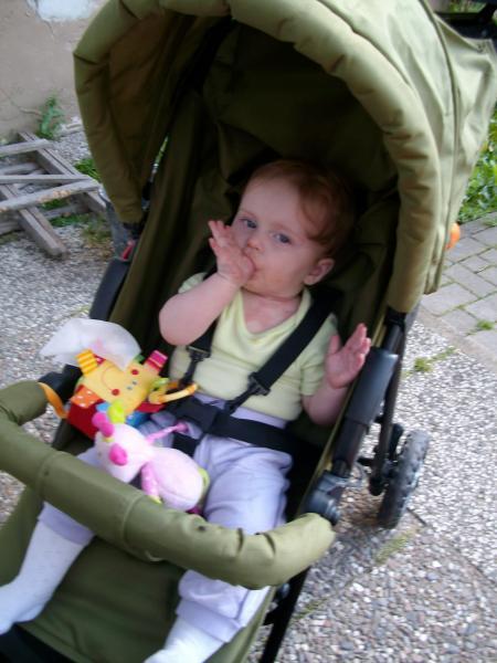 Bild zu 