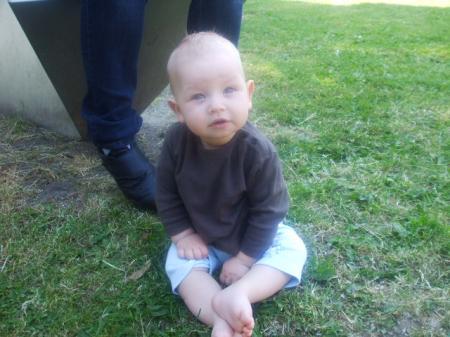 Bild zu 