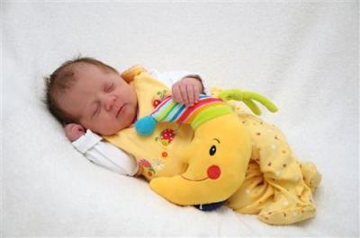 Bild zu Bin seit So mit Baby Zuhause - Forum für September - Mamis